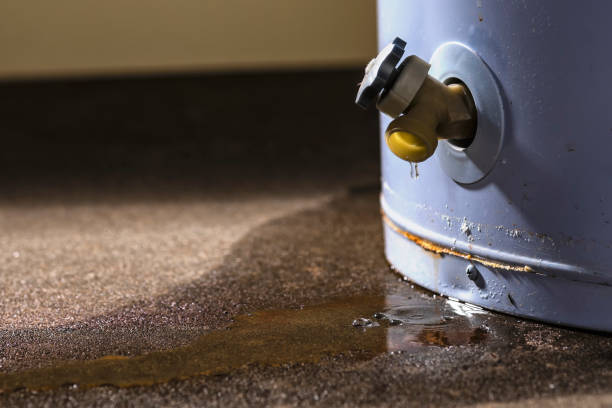 Best Residential water damage restoration  in Landis, NC