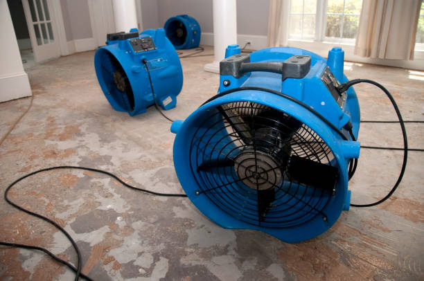 Best Carpet water damage restoration  in Landis, NC