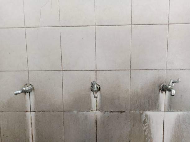 Best Flood damage cleanup  in Landis, NC