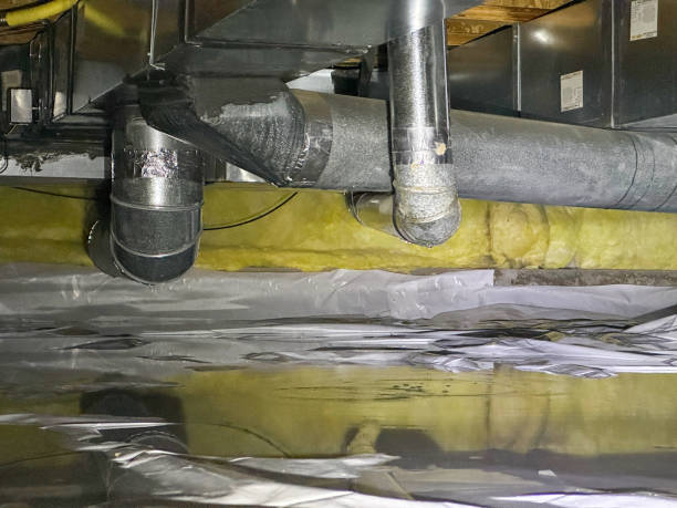 Best Flood restoration services  in Landis, NC